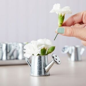 Mini Silver Galvanized Metal Watering Can Vases